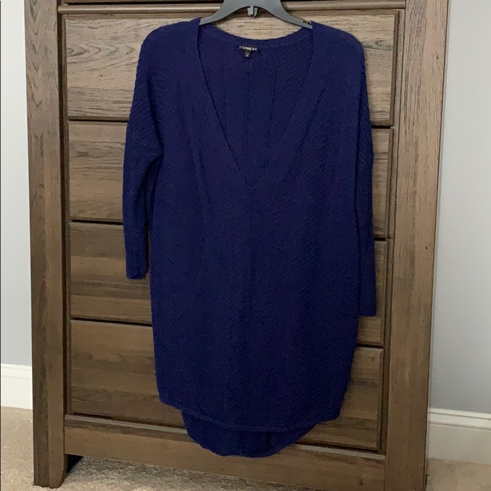 Express Tunic Sweater